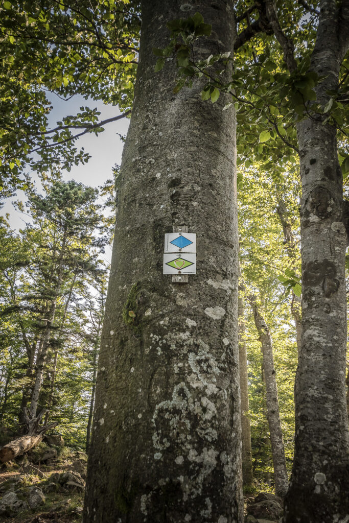 markierung-wanderweg