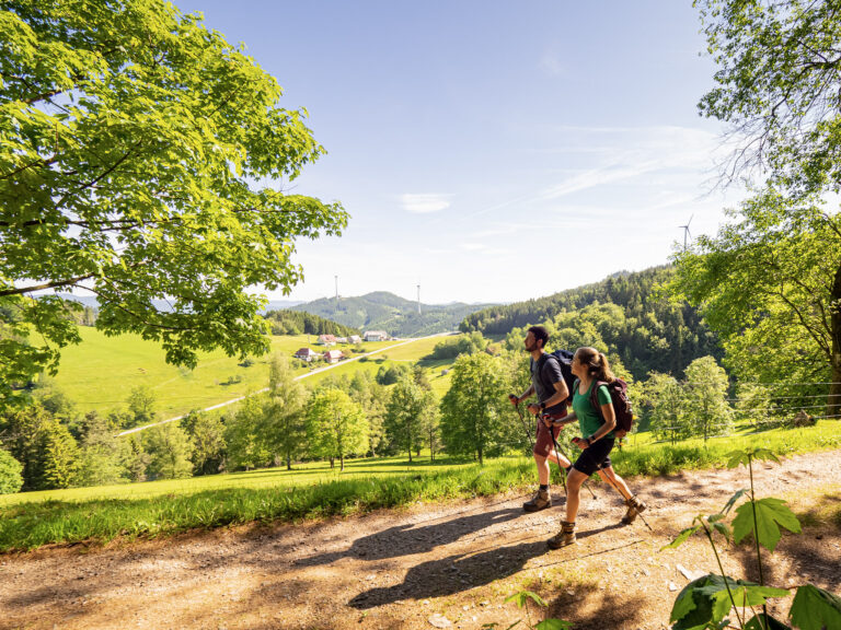 wander-highlights-suedschwarzwald