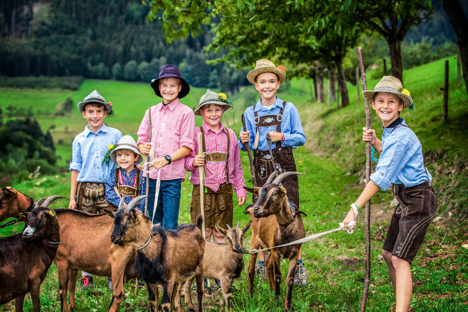 almabtrieb-simonswald