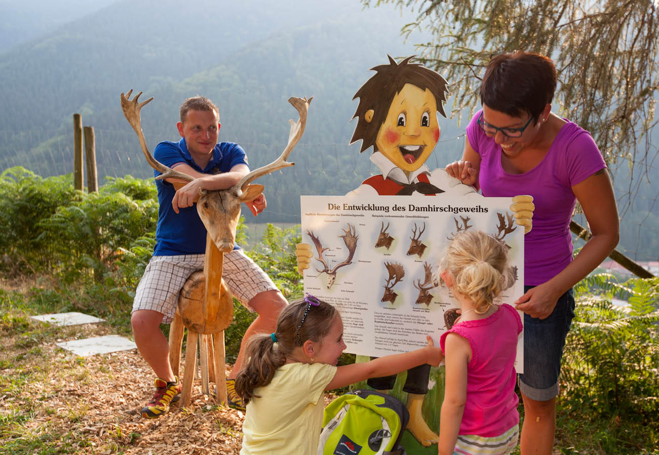 simonweg-simonswald simonweg-simonswald