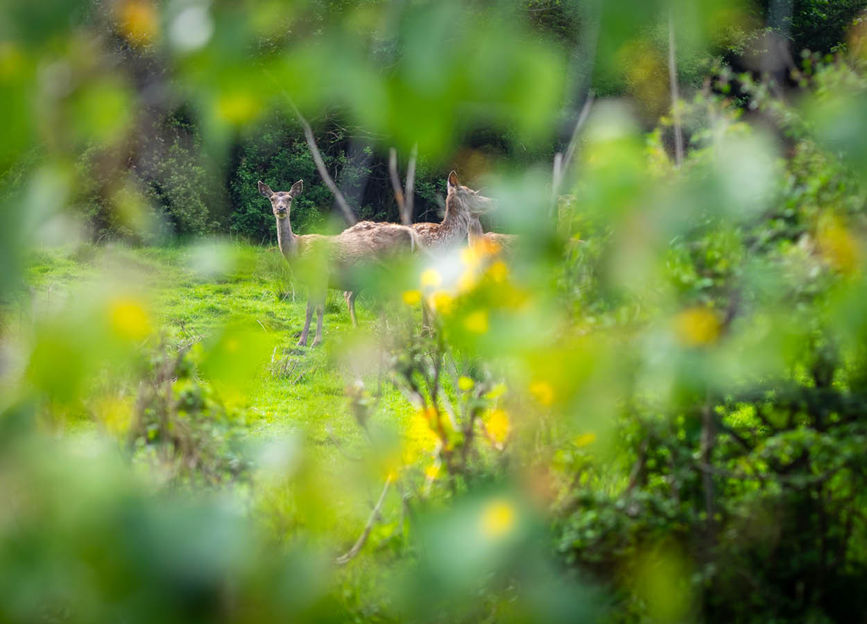 zweitaelersteig-etappe-3