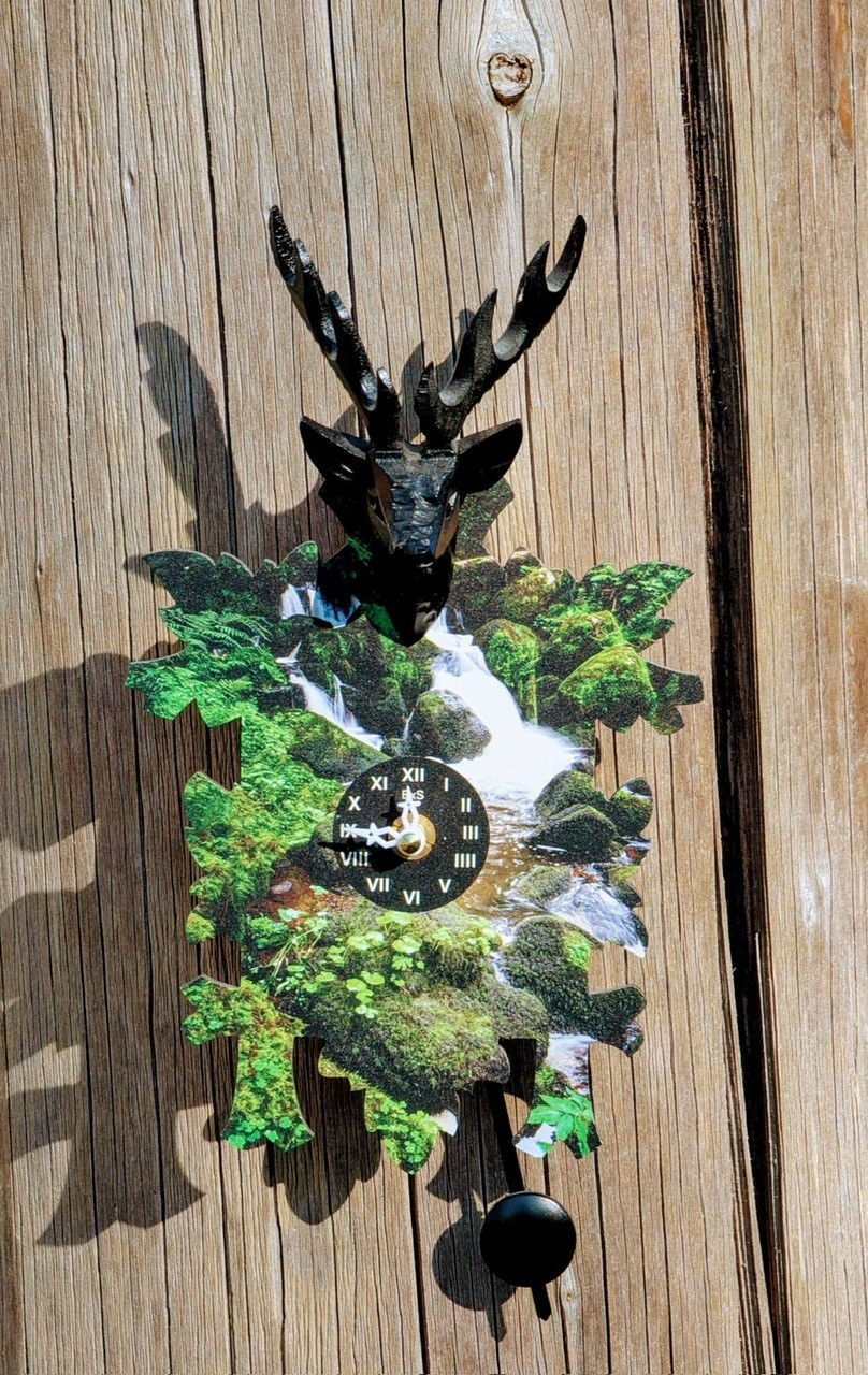 Kuckulino – Bild 2