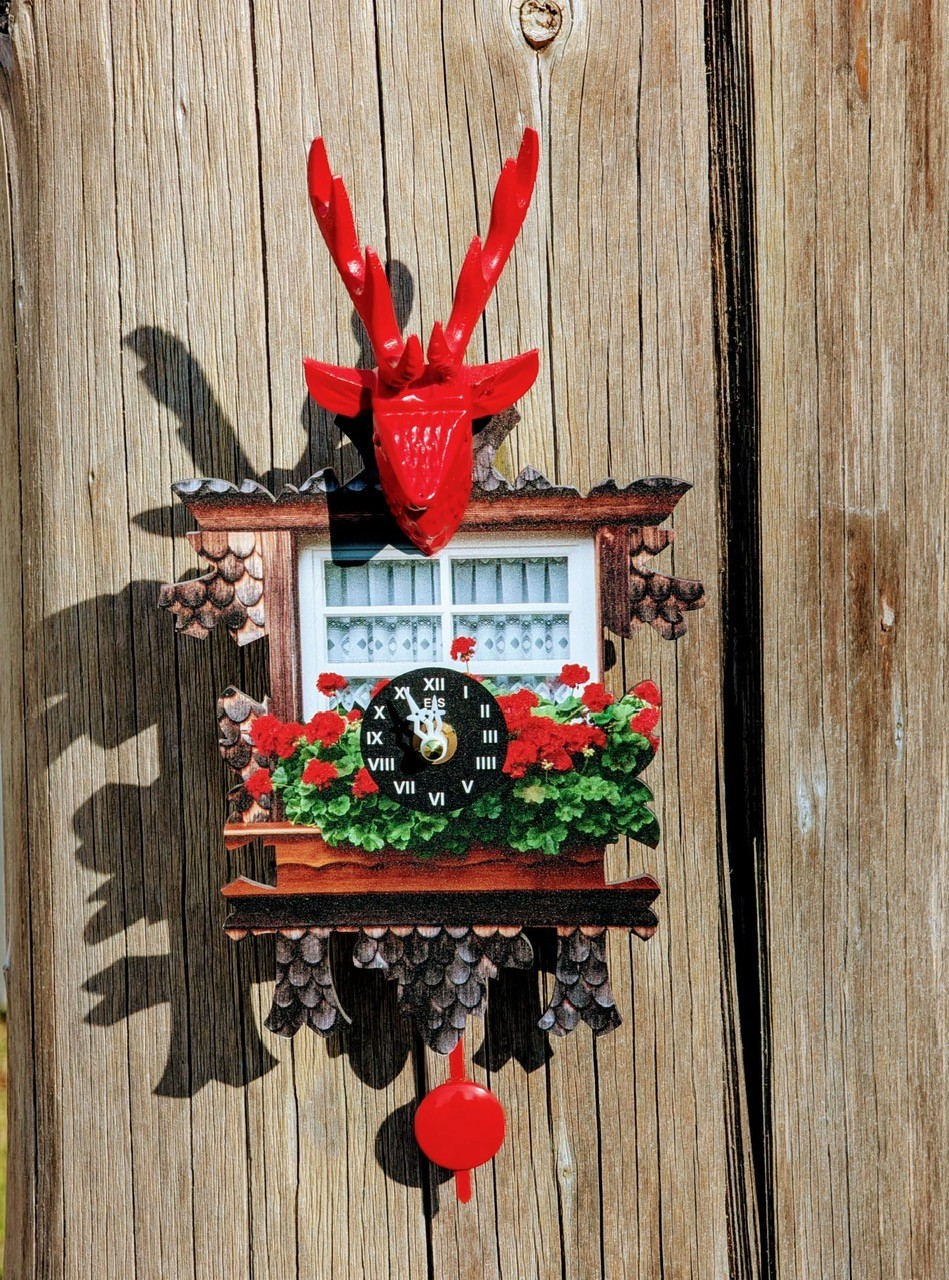 Kuckulino – Bild 3