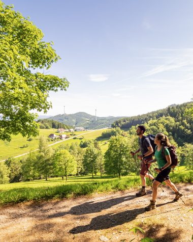 Kunkel_Zweitaelersteig_20190601-P6010276_Landwassereck Kunkel_Zweitaelersteig_20190601-P6010276_Landwassereck
