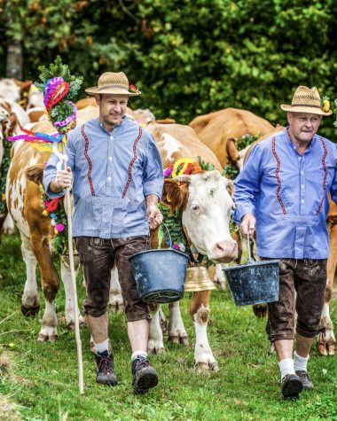 almabtrieb-veranstaltung