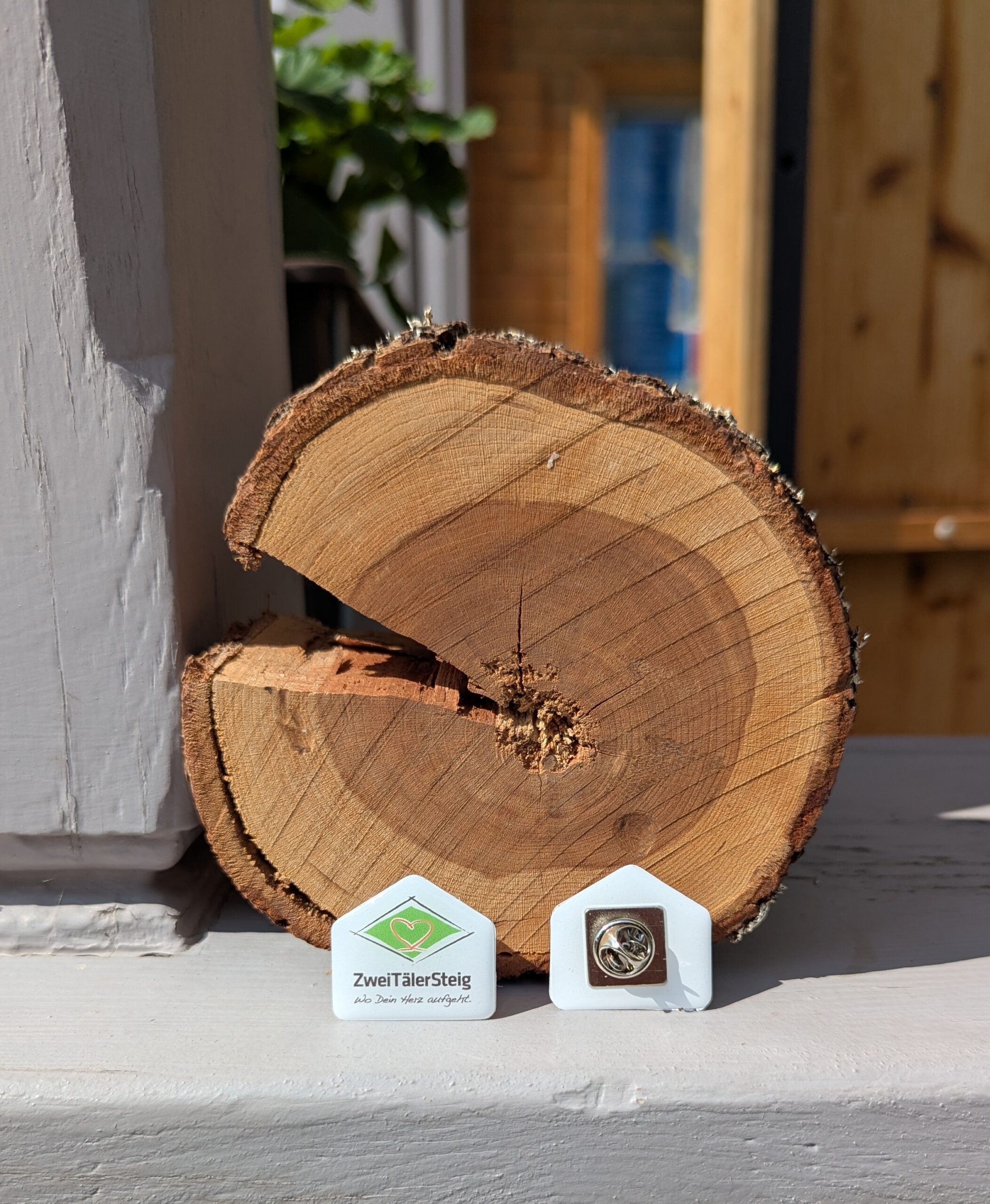ZweiTälerSteig-Pin – Bild 3