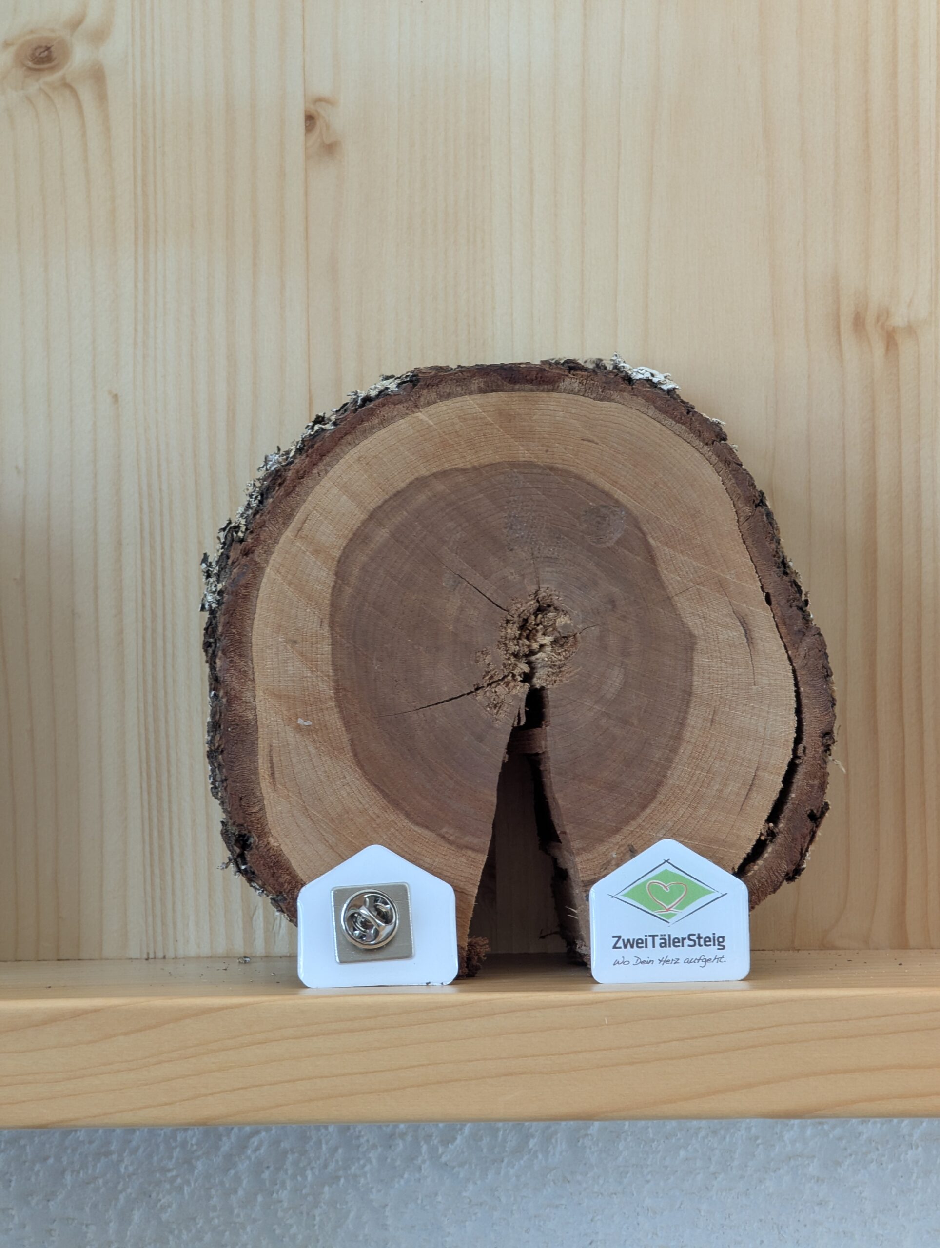 ZweiTälerSteig-Pin – Bild 2
