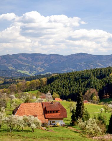 schwarzwald-bauernhof-biederbach schwarzwald-bauernhof-biederbach